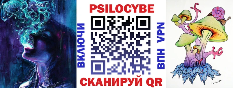 Псилоцибиновые грибы прущие грибы  Владимир 