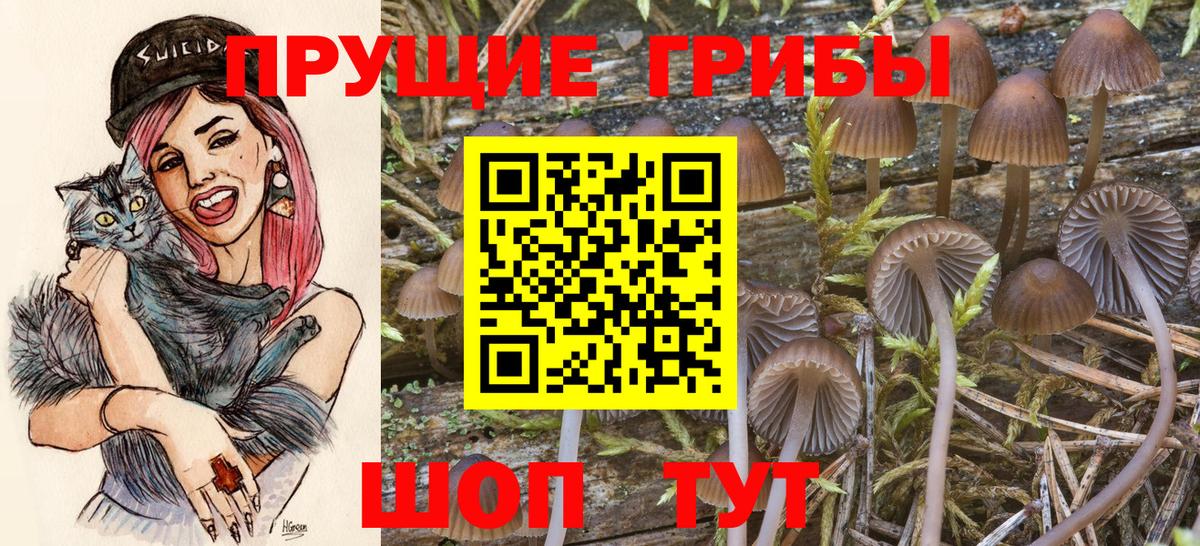Псилоцибиновые грибы Cubensis  Вход с VPN  дарнет шоп  Владимир  Галлюциногенные грибы прущие грибы 