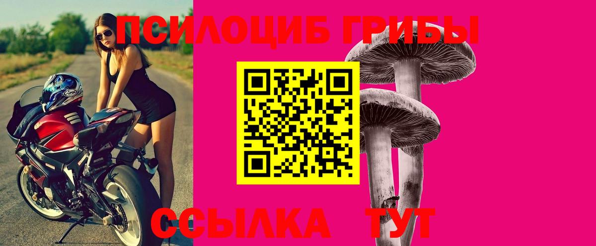 Галлюциногенные грибы MAGIC MUSHROOMS Владимир