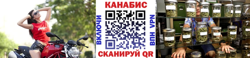 Шишки марихуана сатива  Владимир 